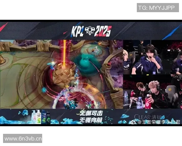 聚焦王者荣耀：探讨JDG战队背后的实力与团队精神